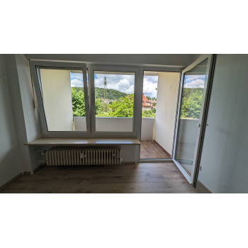 Wohnzimmer Fenster